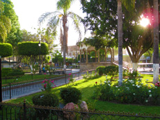 Jardin Hidalgo